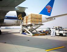 Air freight forwarder